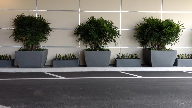 Square Pedestal Planters & Roma Rectangular Planters